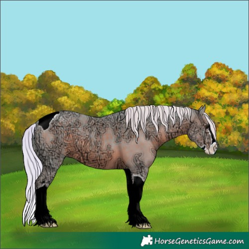 Horse Color:Watercolor Silver Black Ice Splash Tobiano