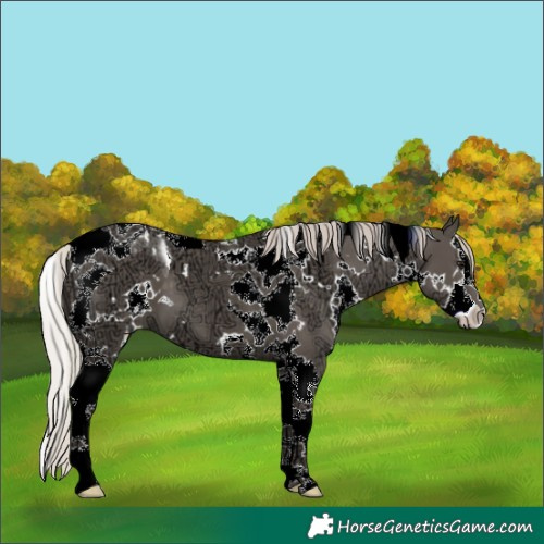 Horse Color:White Spotted Silver Black Ice Splash Tobiano