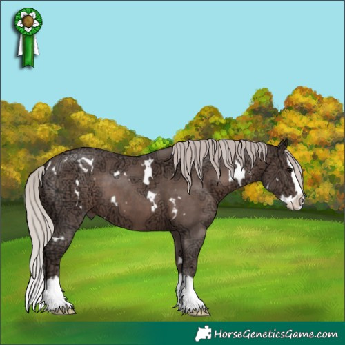 Horse Color:White Spotted Silver Black Ice Sabino Splash 