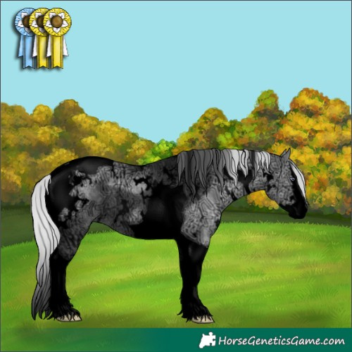 Horse Color:Void White Spotted Silver Grullo Chinchilla Ice Splash Tobiano