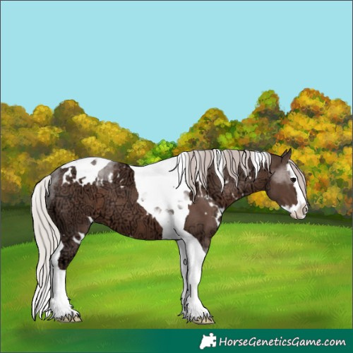 Horse Color:White Spotted Silver Black Ice Splash Tobiano