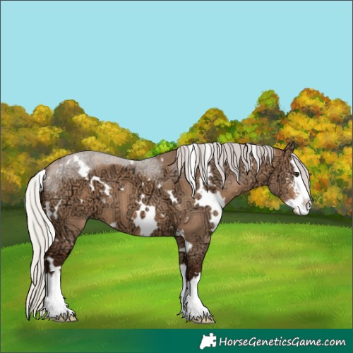 Horse Color:White Spotted Silver Bay Ice Dun Sabino Splash 
