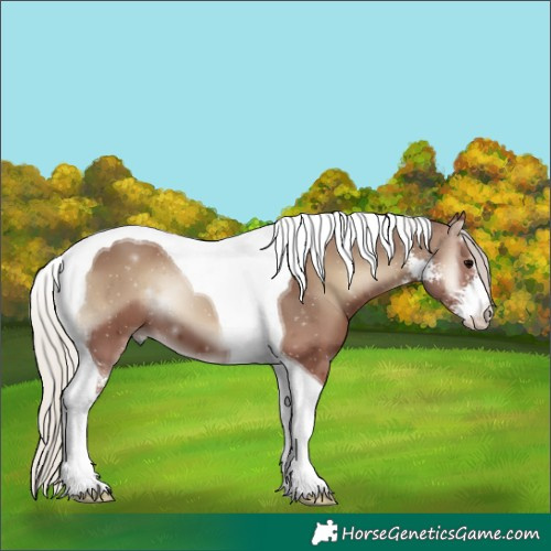 Horse Color:Silver Blue Onyx Sabino Tobiano 