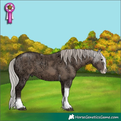 Horse Color:Silver Grullo Ice Sabino Splash Tobiano