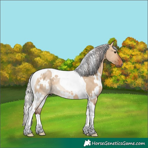 Horse Color:White Spotted Silver Bay Dun Tobiano 