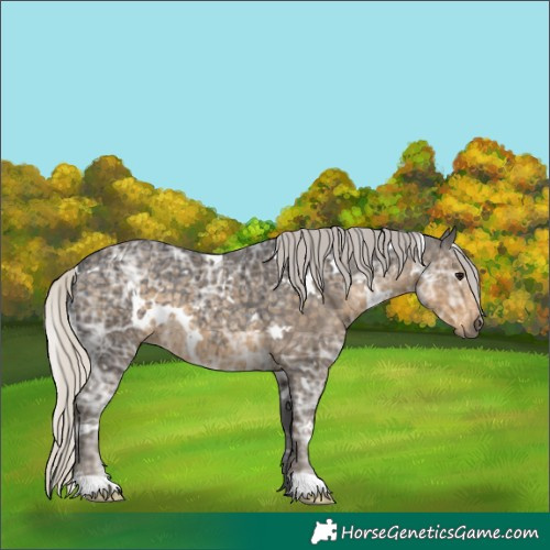 Horse Color:White Spotted Silver Smoky Black Ice 