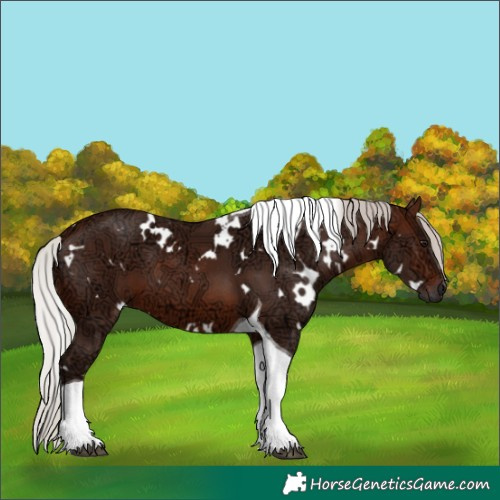 Horse Color:White Spotted Silver Brown Ice Tobiano 