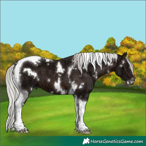 Horse Color:White Spotted Silver Brown Ice Tobiano