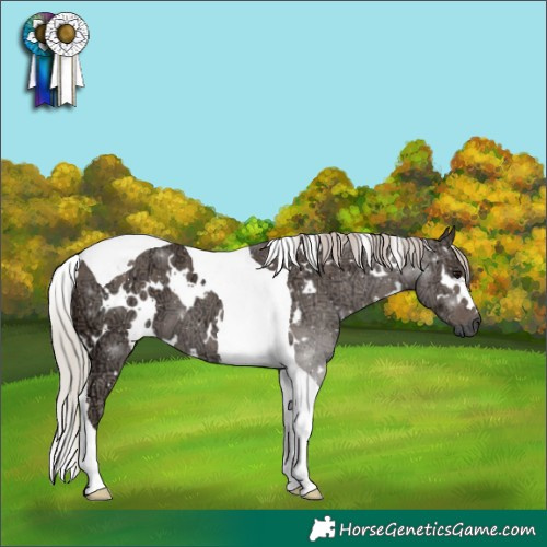 Horse Color:White Spotted Silver Black Ice Tobiano 