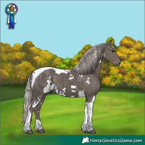 Horse Color:White Spotted Silver Black Tobiano
