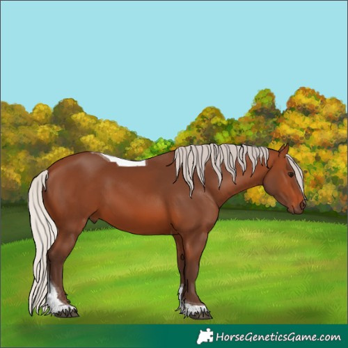 Horse Color:Silver Brown Tobiano