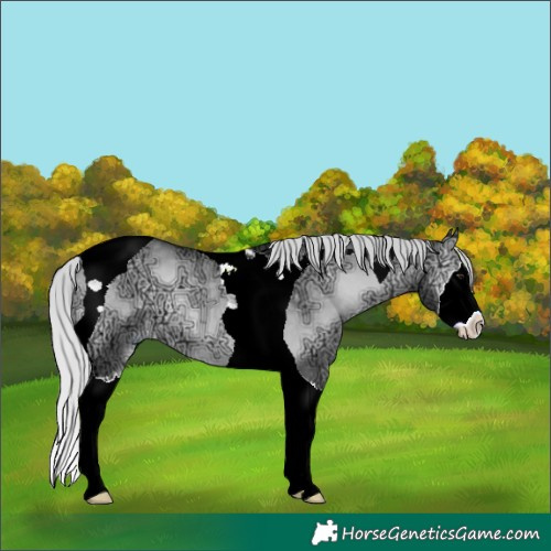 Horse Color:Silver Blue Onyx Chinchilla Ice Splash Tobiano