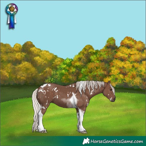 Horse Color:White Spotted Silver Black Tobiano