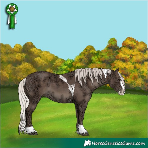 Horse Color:Silver Black Ice Splash Tobiano Rabicano