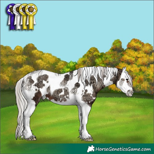 Horse Color:White Spotted Silver Blue Onyx Ice Splash Tobiano 