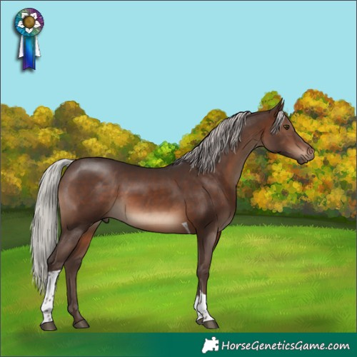 Horse Color:Silver Brown Tobiano