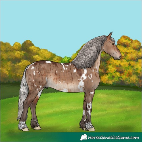 Horse Color:White Spotted Silver Brown Dun Brindle