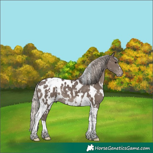 Horse Color:White Spotted Silver Black Tobiano Blanket