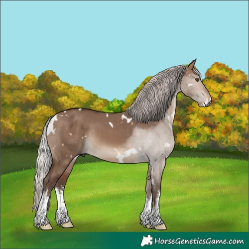 Horse Color:White Spotted Silver Brown Dun Rabicano