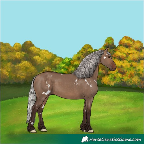 Horse Color:White Spotted Silver Brown Dun 