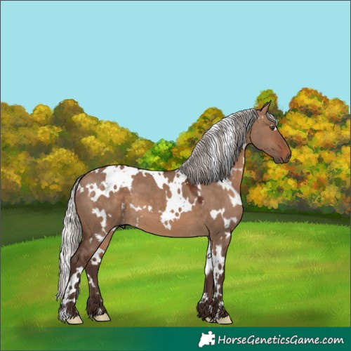 Horse Color:White Spotted Silver Brown Dun