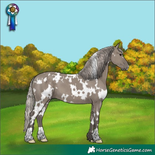 Horse Color:White Spotted Silver Grullo