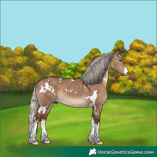 Horse Color:White Spotted Silver Brown Dun