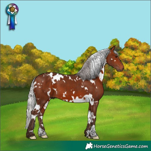 Horse Color:White Spotted Silver Brown 