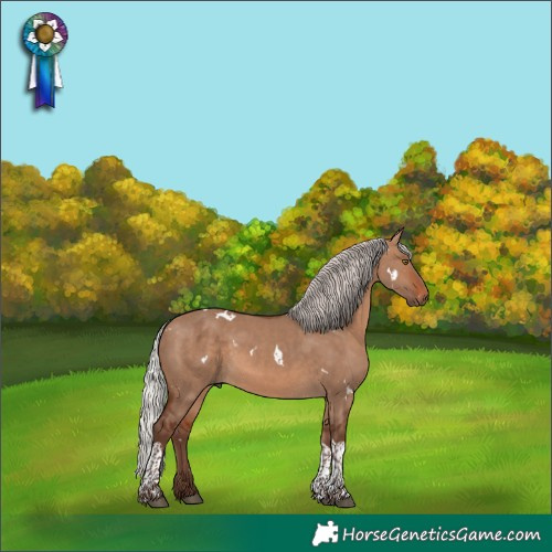 Horse Color:White Spotted Silver Brown Dun Tobiano