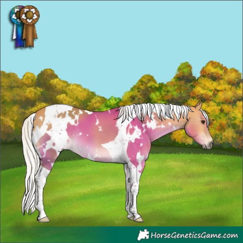 Horse Color:White Spotted Silver Buckskin Tobiano