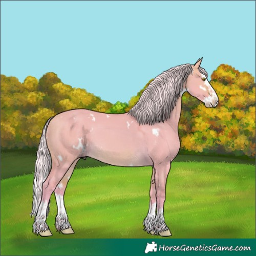 Horse Color:Watercolor White Spotted Silver Buckskin Dun Splash 