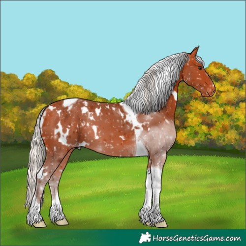 Horse Color:White Spotted Silver Bay Tobiano Snowflake Varnish