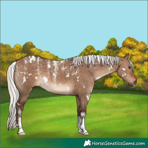 Horse Color:Powder White White Spotted Silver Brown Dun 