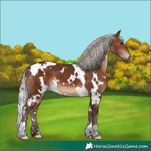 Horse Color:White Spotted Silver Brown 