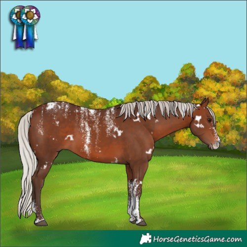 Horse Color:Powder White White Spotted Silver Brown 
