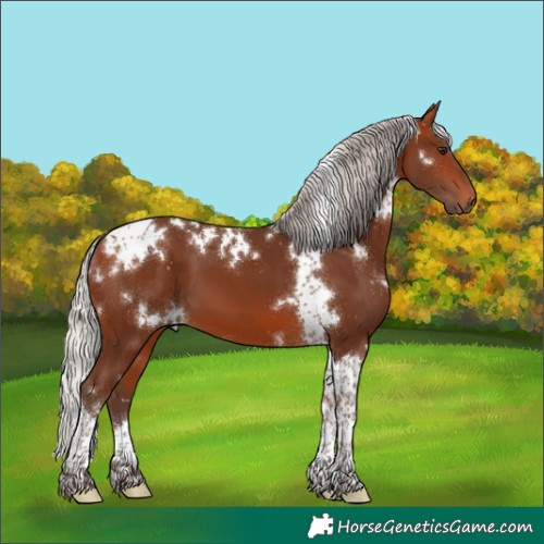 Horse Color:White Spotted Silver Brown Tobiano 