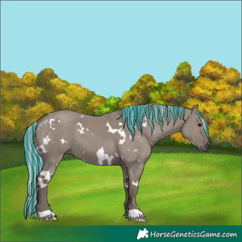 Horse Color:Painted White Spotted Silver Grullo 