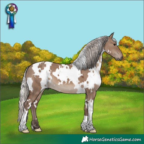 Horse Color:White Spotted Silver Grullo