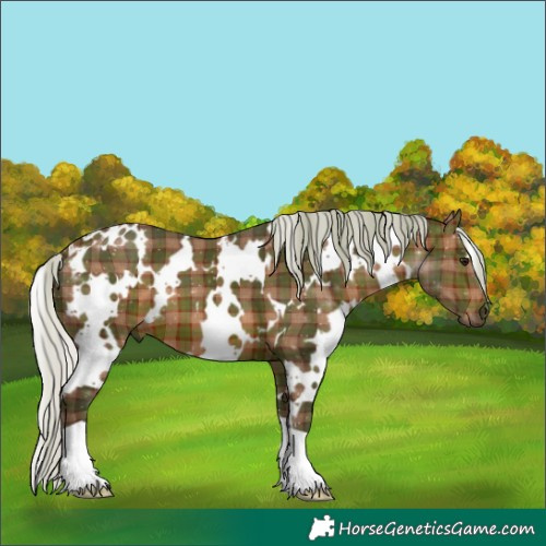 Horse Color:Plaid White Spotted Silver Brown