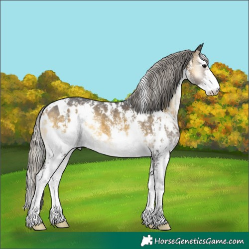 Horse Color:White Spotted Silver Buckskin Onyx Sabino