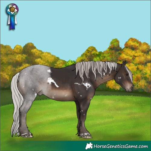 Horse Color:White Spotted Silver Brown
