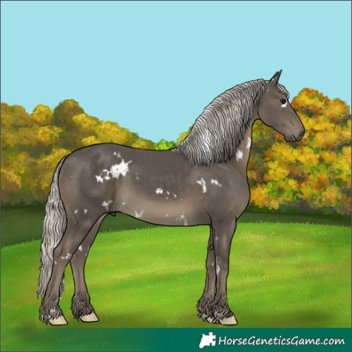 Horse Color:White Spotted Silver Smoky Black