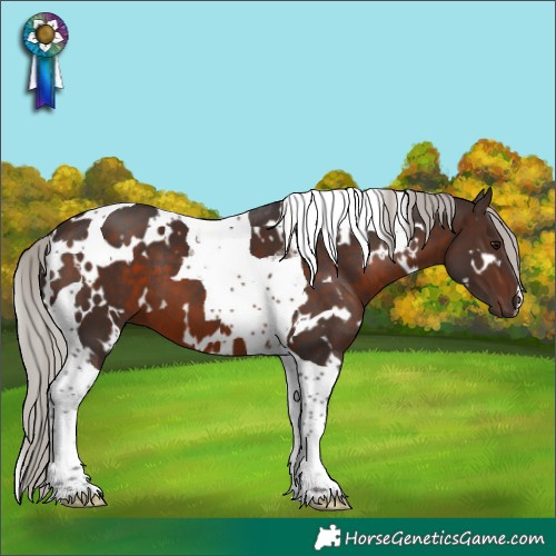 Horse Color:White Spotted Silver Brown Tobiano
