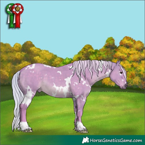 Horse Color:Watercolor White Spotted Silver Brown Dun