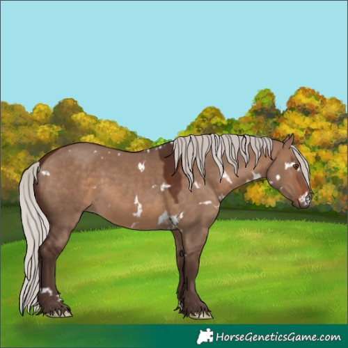 Horse Color:White Spotted Silver Brown Dun