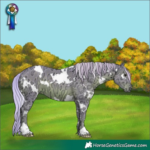 Horse Color:Watercolor White Spotted Silver Black Ice 