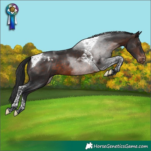 Horse Color:Brown Tobiano Varnish