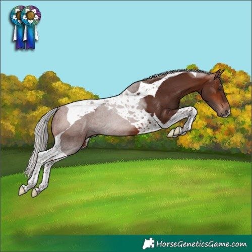 Horse Color:Silver Bay Tobiano