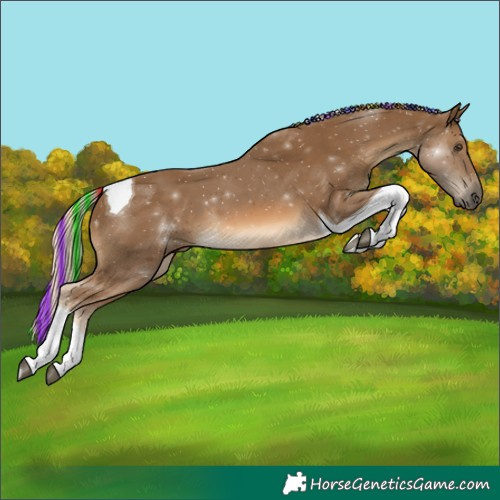 Horse Color:Painted Chocolate Palomino Tobiano