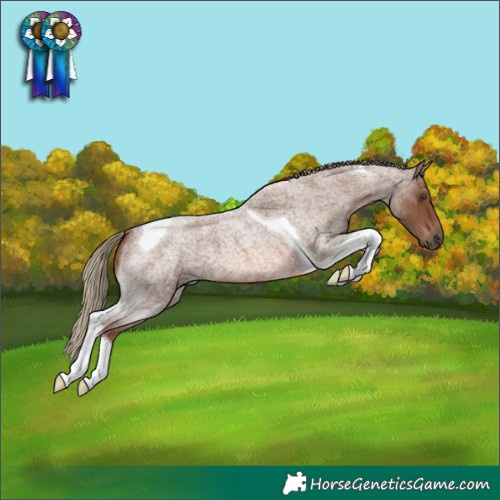 Horse Color:Red Roan Mushroom Tobiano